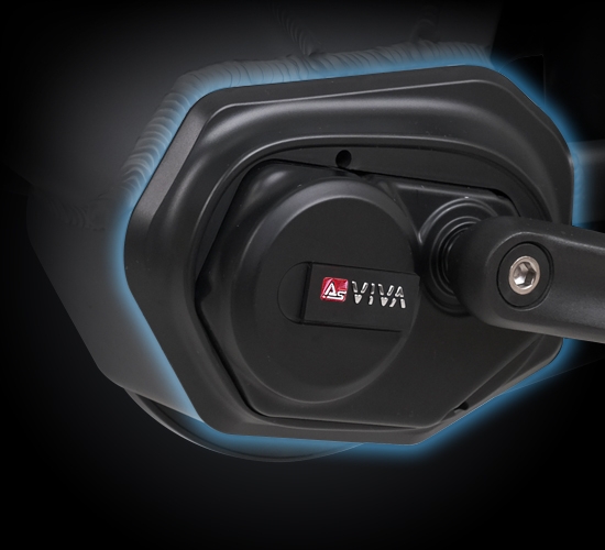 Kraftvoller 250 W AsVIVA DynamiX M Mittelmotor
