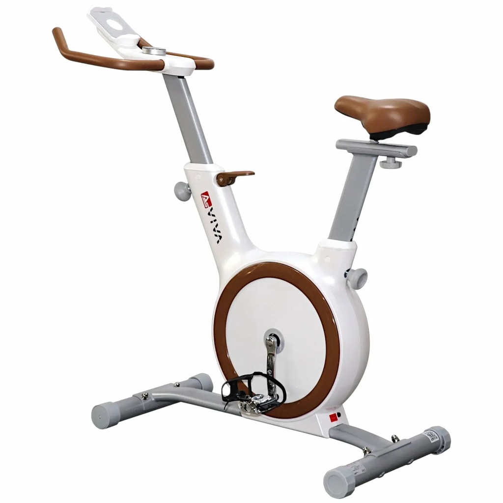 heimtrainer-asviva-h12-indoor-bike-pro